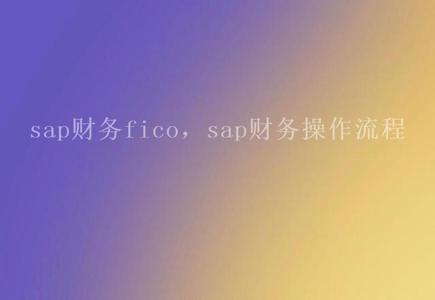 sap财务fico，sap财务操作流程2