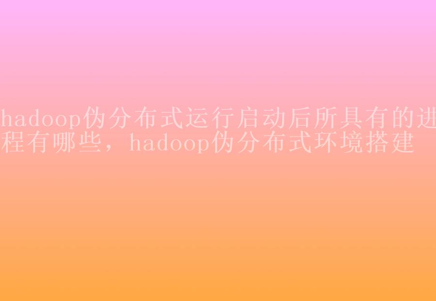 hadoop伪分布式运行启动后所具有的进程有哪些，hadoop伪分布式环境搭建1