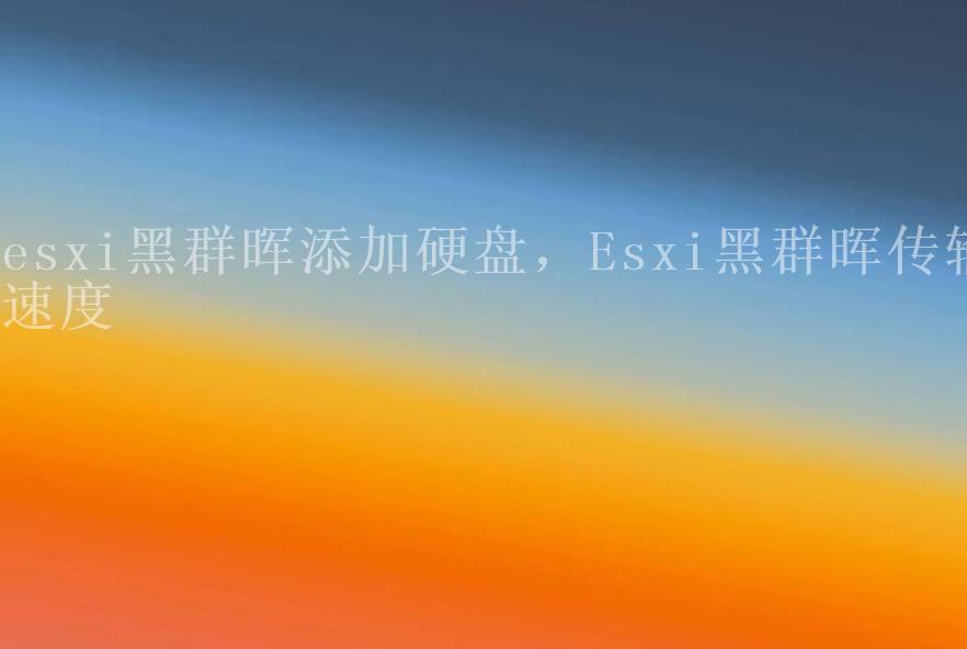 esxi黑群晖添加硬盘，Esxi黑群晖传输速度1