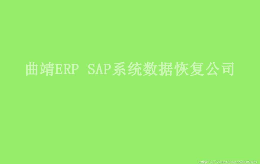 曲靖ERP SAP系统数据恢复公司2