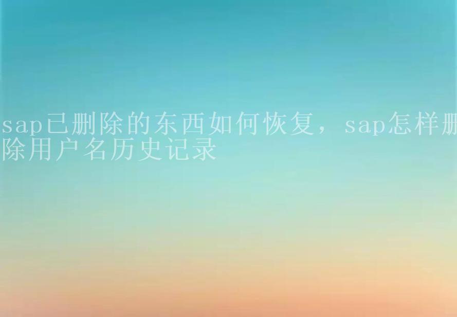 sap已删除的东西如何恢复，sap怎样删除用户名历史记录2