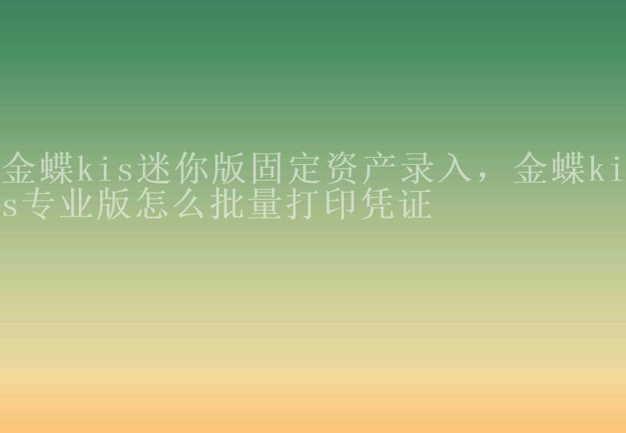 金蝶kis迷你版固定资产录入，金蝶kis专业版怎么批量打印凭证2