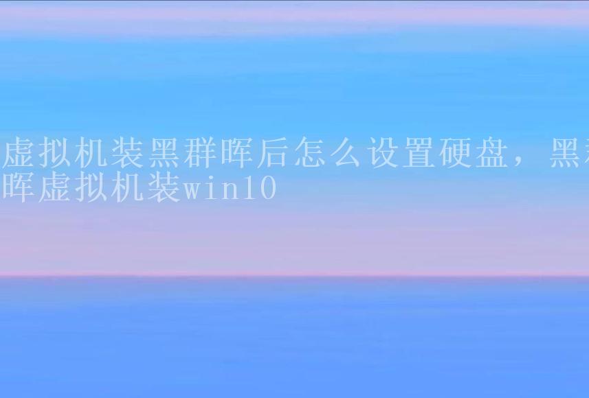 虚拟机装黑群晖后怎么设置硬盘，黑群晖虚拟机装win101