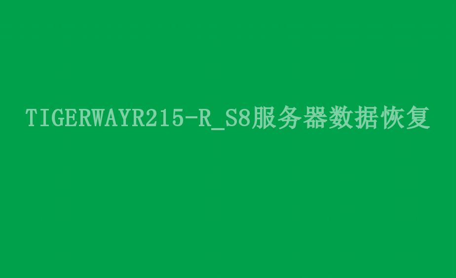 TIGERWAYR215-R_S8服务器数据恢复2