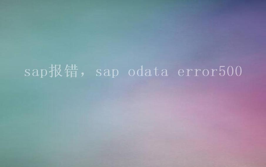 sap报错，sap odata error5001