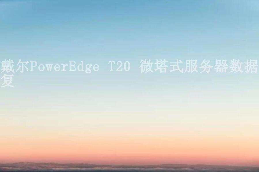 戴尔PowerEdge T20 微塔式服务器数据恢复2