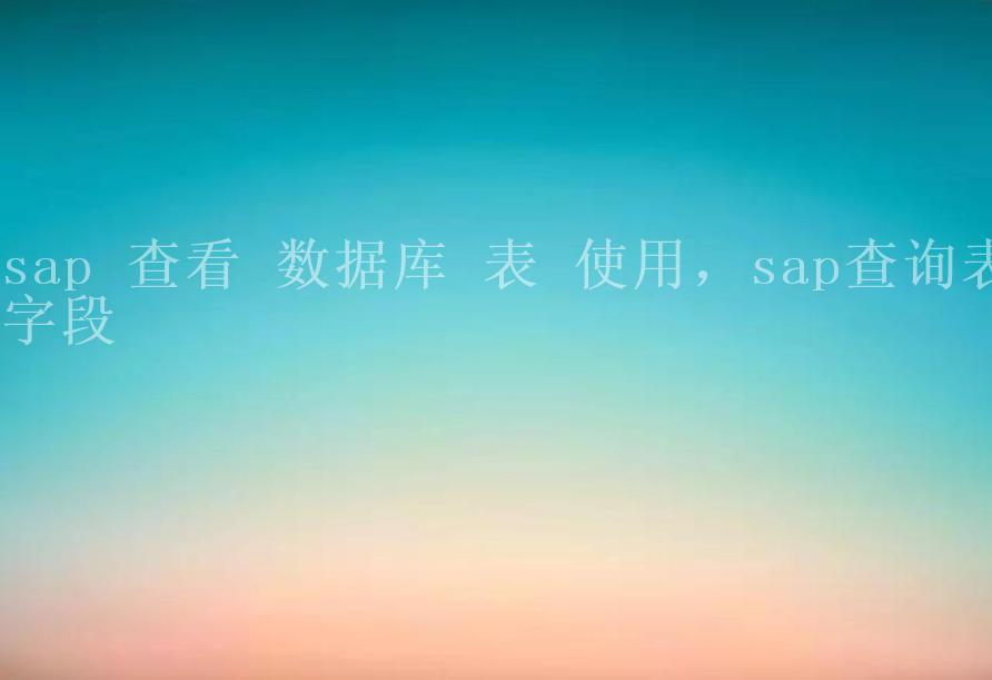 sap 查看 数据库 表 使用，sap查询表字段1