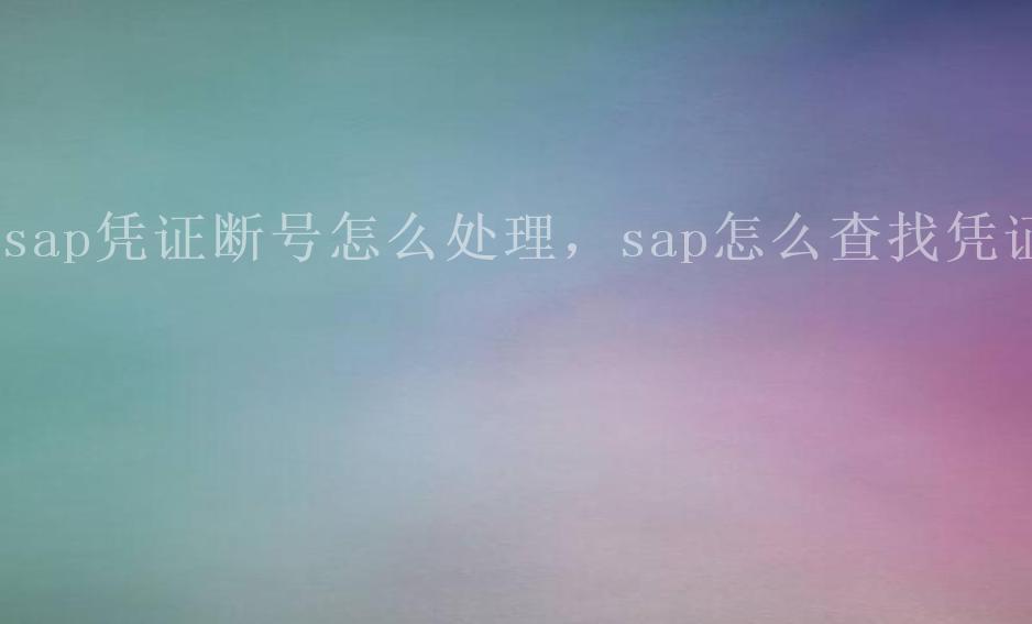 sap凭证断号怎么处理，sap怎么查找凭证2