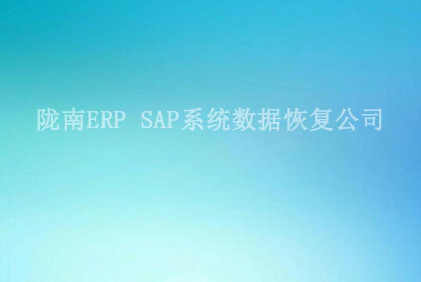 陇南ERP SAP系统数据恢复公司2