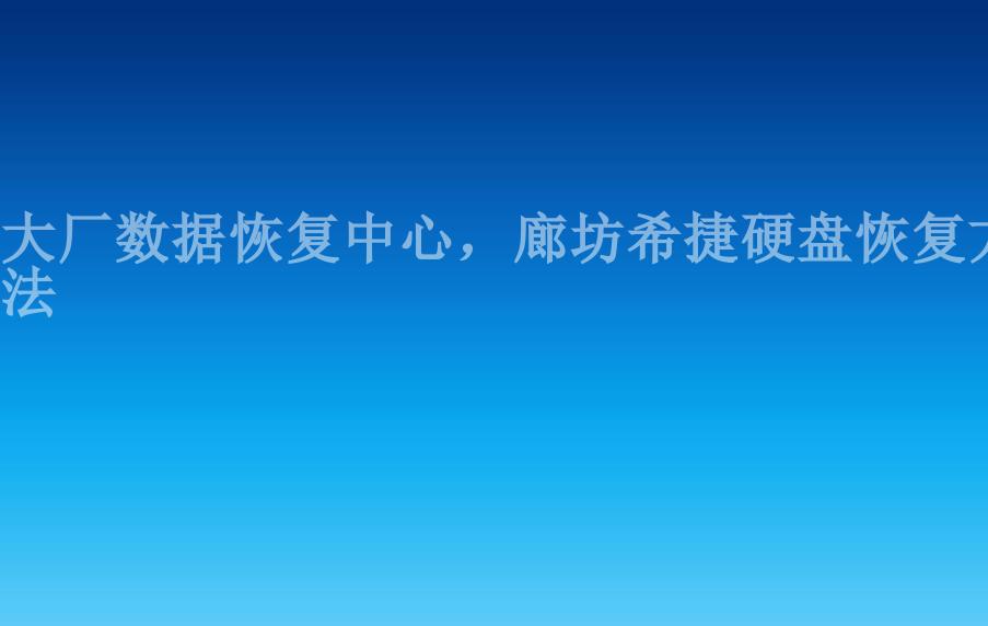 大厂数据恢复中心，廊坊希捷硬盘恢复方法2