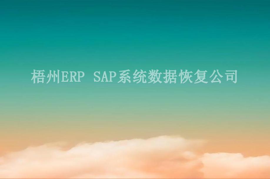 梧州ERP SAP系统数据恢复公司2