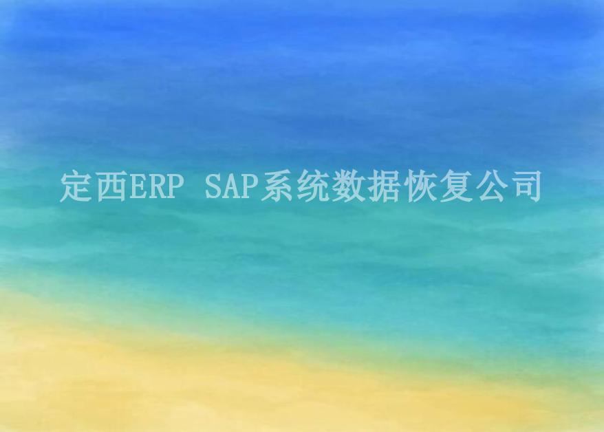 定西ERP SAP系统数据恢复公司2