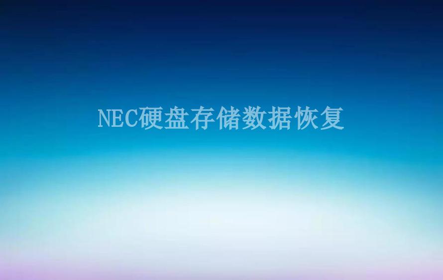 NEC硬盘存储数据恢复1