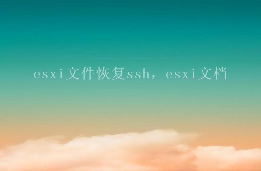 esxi文件恢复ssh，esxi文档2