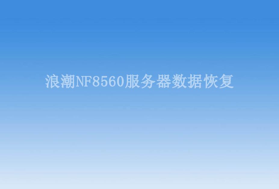 浪潮NF8560服务器数据恢复2