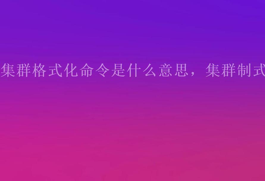 集群格式化命令是什么意思，集群制式1