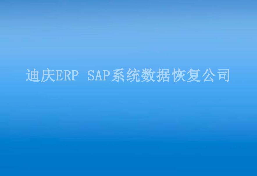 迪庆ERP SAP系统数据恢复公司2