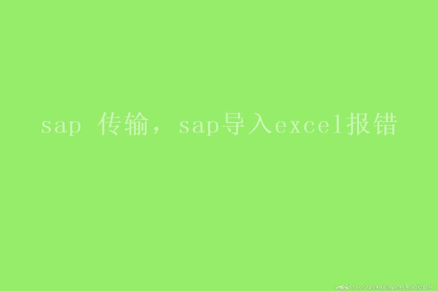 sap 传输，sap导入excel报错1