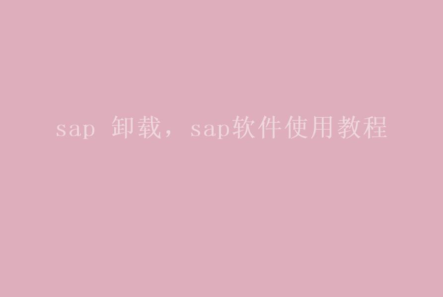 sap 卸载，sap软件使用教程1