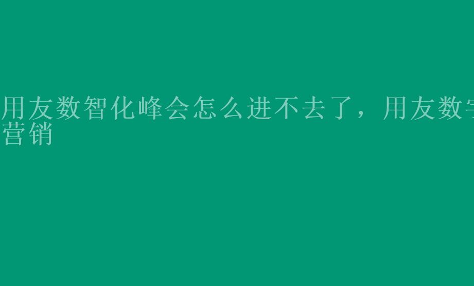 用友数智化峰会怎么进不去了，用友数字营销2