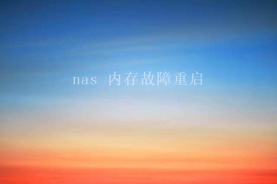 nas 内存故障重启1