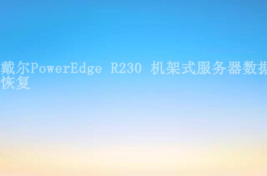戴尔PowerEdge R230 机架式服务器数据恢复2