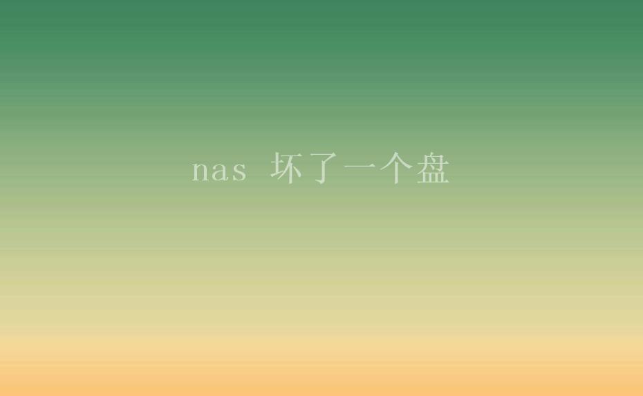 nas 坏了一个盘2