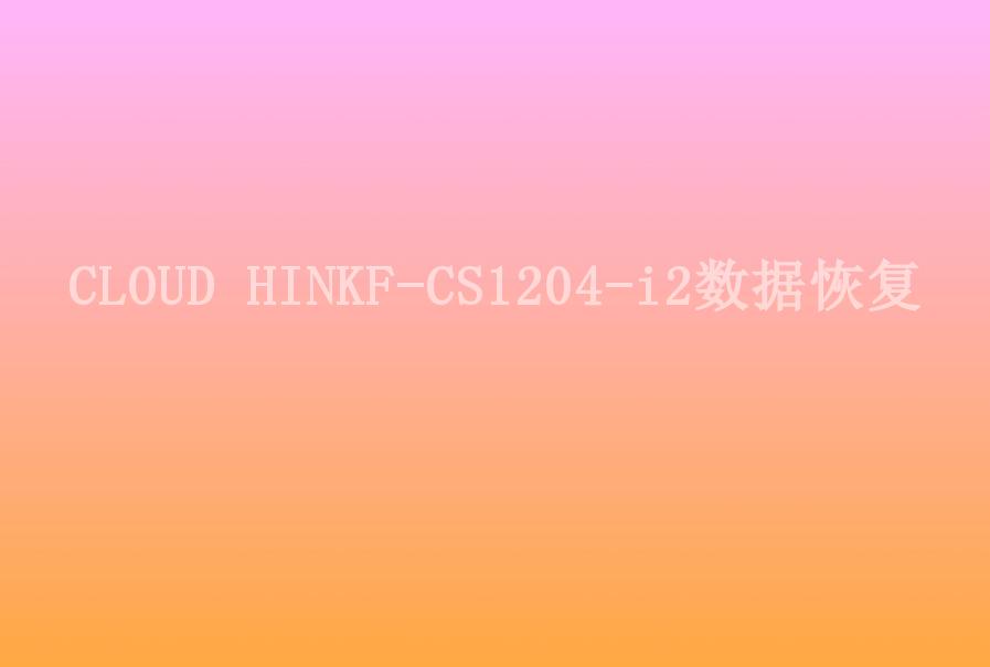 CLOUD HINKF-CS1204-i2数据恢复2