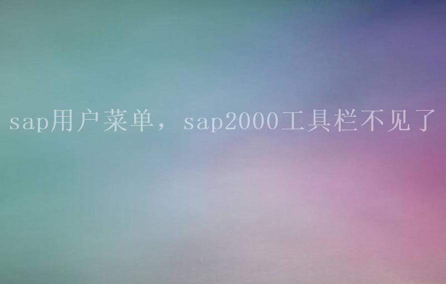 sap用户菜单，sap2000工具栏不见了1