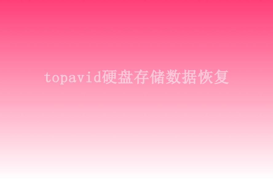 topavid硬盘存储数据恢复1