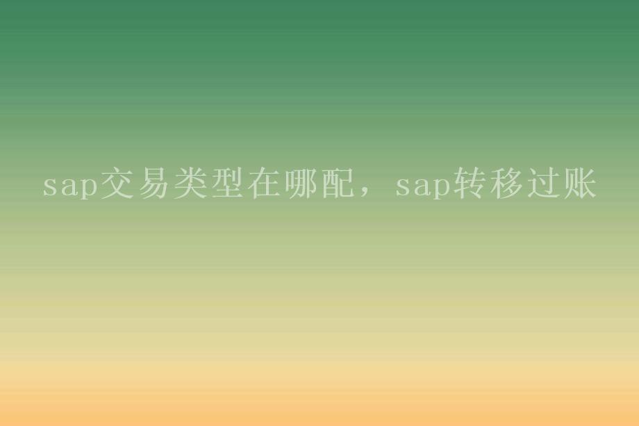 sap交易类型在哪配，sap转移过账1