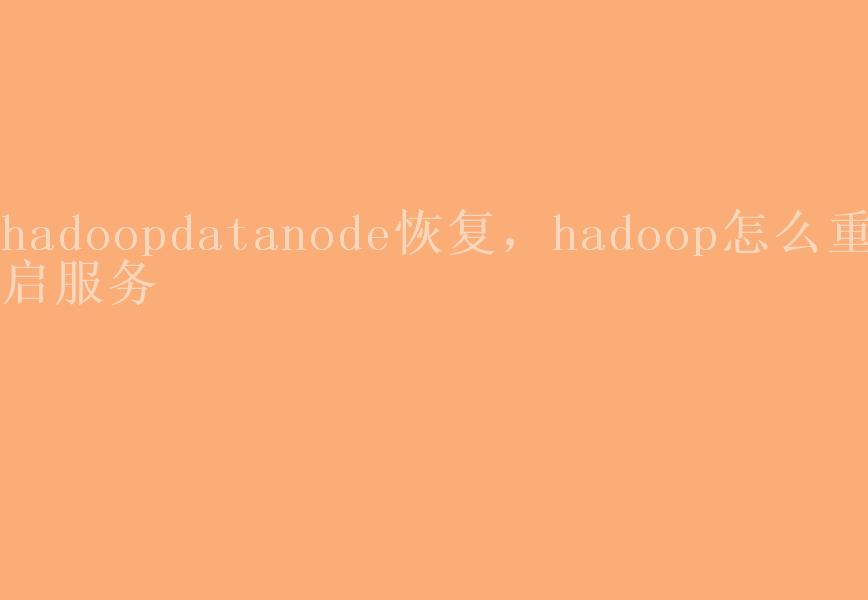 hadoopdatanode恢复，hadoop怎么重启服务1