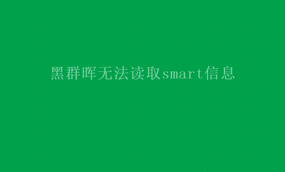 黑群晖无法读取smart信息2