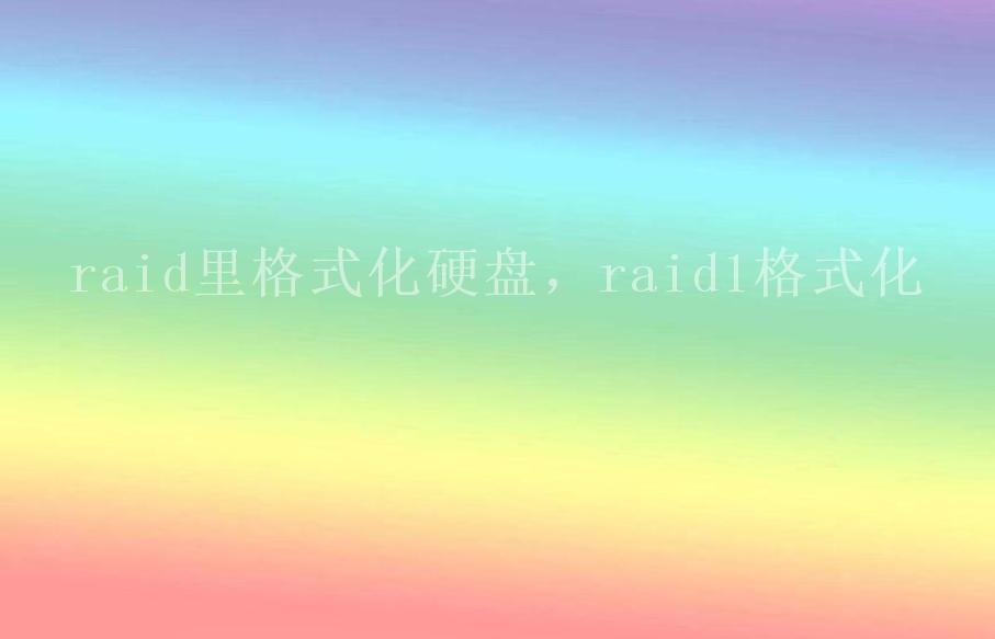 raid里格式化硬盘，raid1格式化1