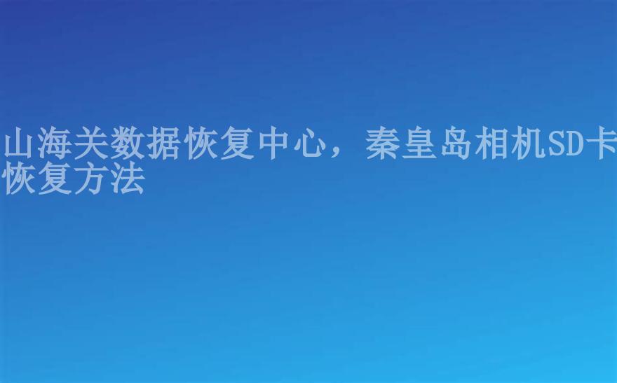 山海关数据恢复中心，秦皇岛相机SD卡恢复方法1