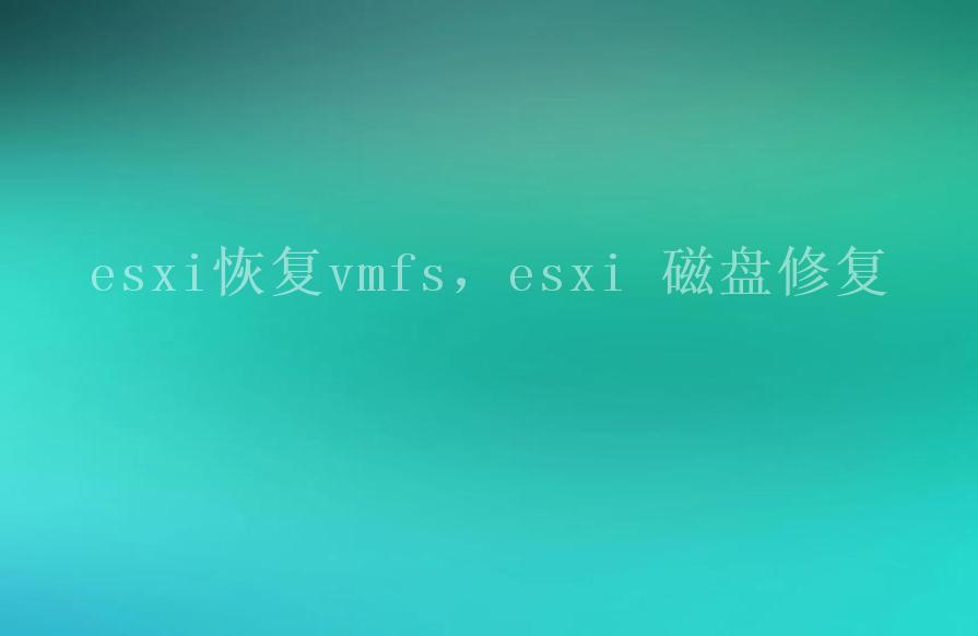 esxi恢复vmfs，esxi 磁盘修复2