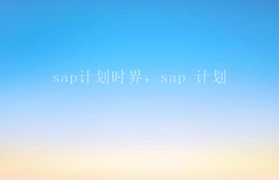 sap计划时界，sap 计划1