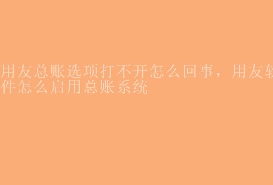 用友总账选项打不开怎么回事，用友软件怎么启用总账系统1