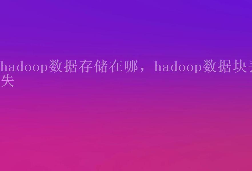 hadoop数据存储在哪，hadoop数据块丢失1