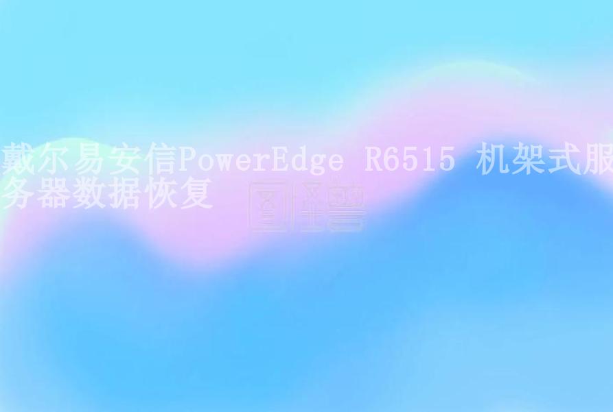 戴尔易安信PowerEdge R6515 机架式服务器数据恢复1