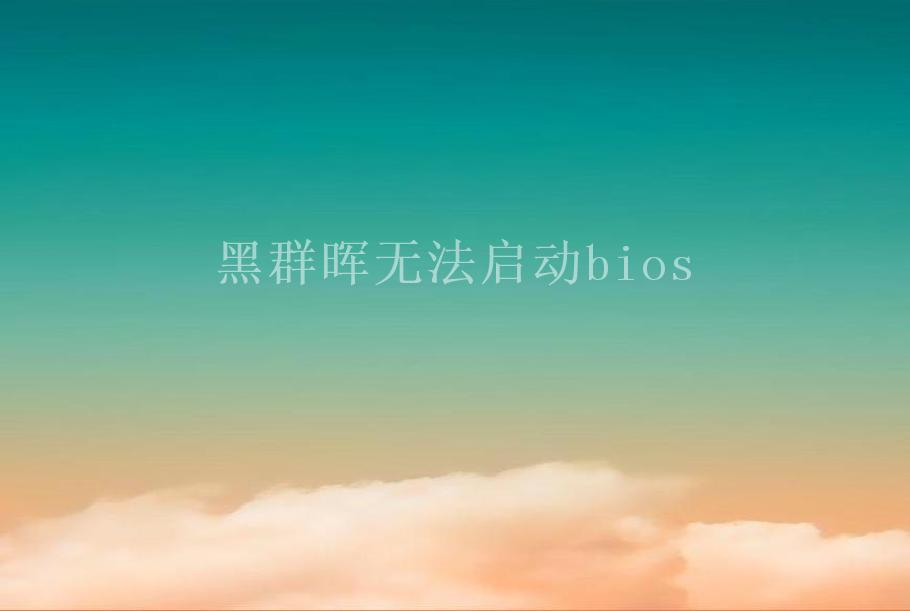 黑群晖无法启动bios2