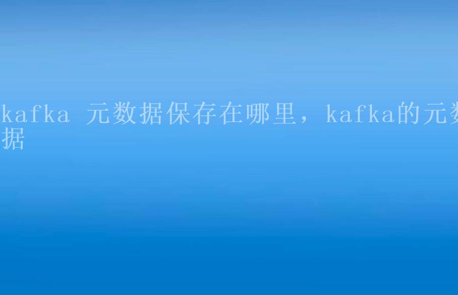 kafka 元数据保存在哪里，kafka的元数据2