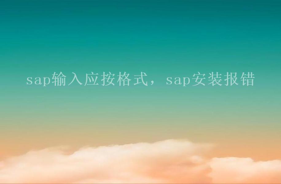 sap输入应按格式，sap安装报错2