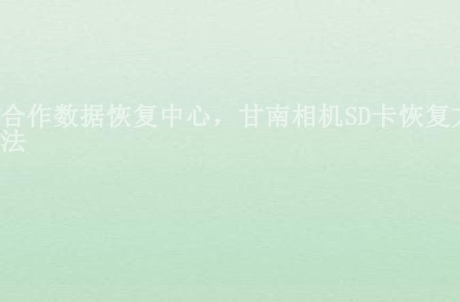 合作数据恢复中心，甘南相机SD卡恢复方法1