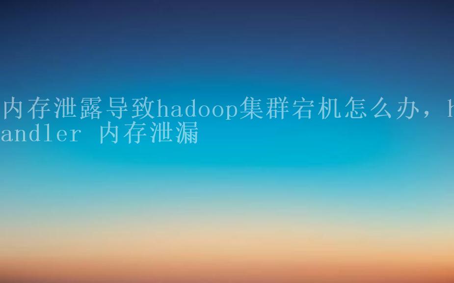 内存泄露导致hadoop集群宕机怎么办，handler 内存泄漏2