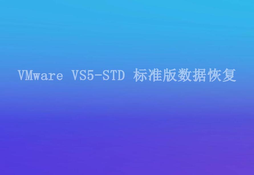 VMware VS5-STD 标准版数据恢复2