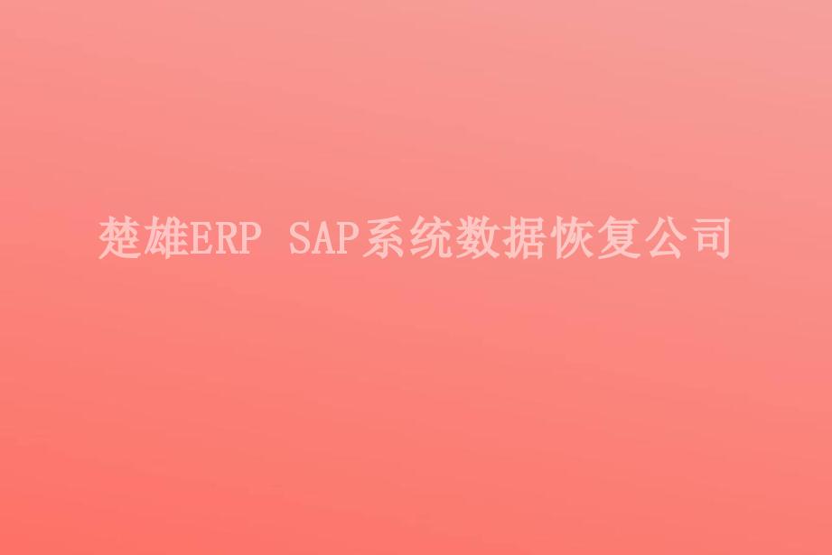 楚雄ERP SAP系统数据恢复公司1