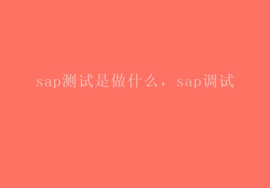 sap是做什么，sap调试2