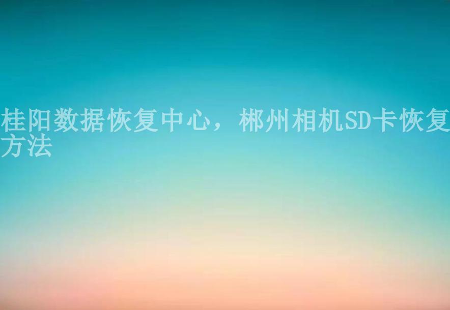 桂阳数据恢复中心，郴州相机SD卡恢复方法1