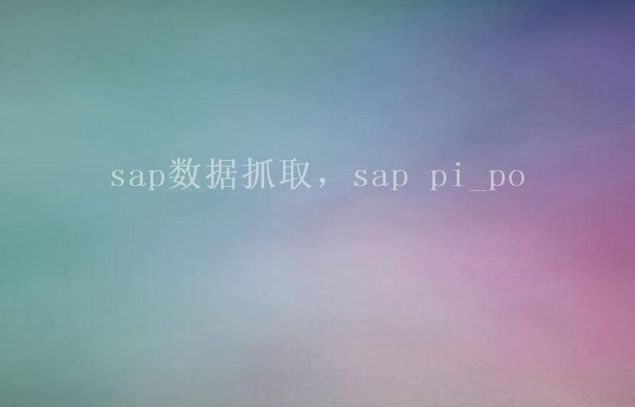 sap数据抓取，sap pi_po2